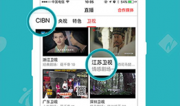 最新app看片直播,看片直播APP引领视觉盛宴