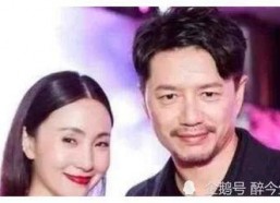 娱乐圈明星小说吃瓜,明星们的甜蜜瓜田