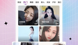 91大秀直播房间号,探秘热门房间号背后的精彩故事”
