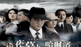 电视剧夜幕下的哈尔滨,夜幕下的哈尔滨风云