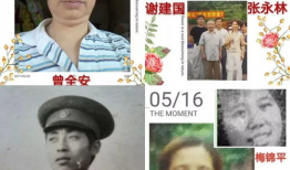 我们的知青岁月电视剧,知青岁月的青春记忆