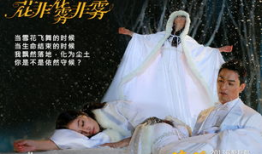 花非花电视剧演员表,实力派明星齐聚演绎爱恨情仇