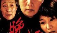 晚婚电视剧,青春的抉择与成长