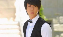 吴尊演的电视剧有哪些,吴尊影视生涯精彩剧集大盘点