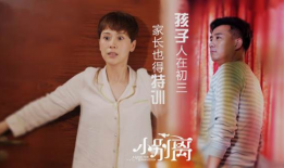 海清的电视剧有些什么,从家庭剧到职场风云，多面角色演绎人生百态