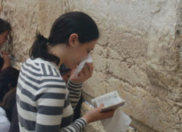 娱乐吃瓜君和毒舌