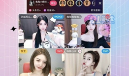 91大秀直播房间号,探秘热门房间号背后的精彩故事”