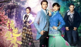 剧情电视剧大全,电视剧大全剧情概览