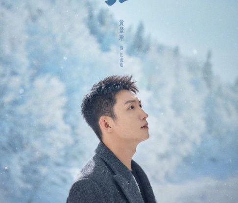 冬至电视剧剧情介绍,揭秘神秘家族的复仇之路