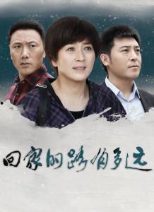 回家的路电视剧